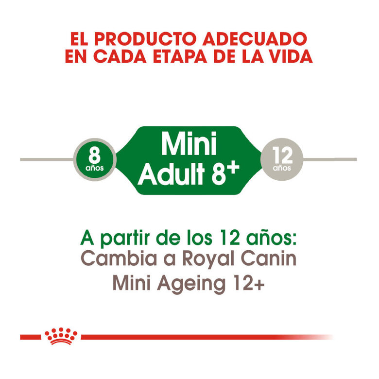 Royal Canin Mini +8 Adult pienso para perros, , large image number null